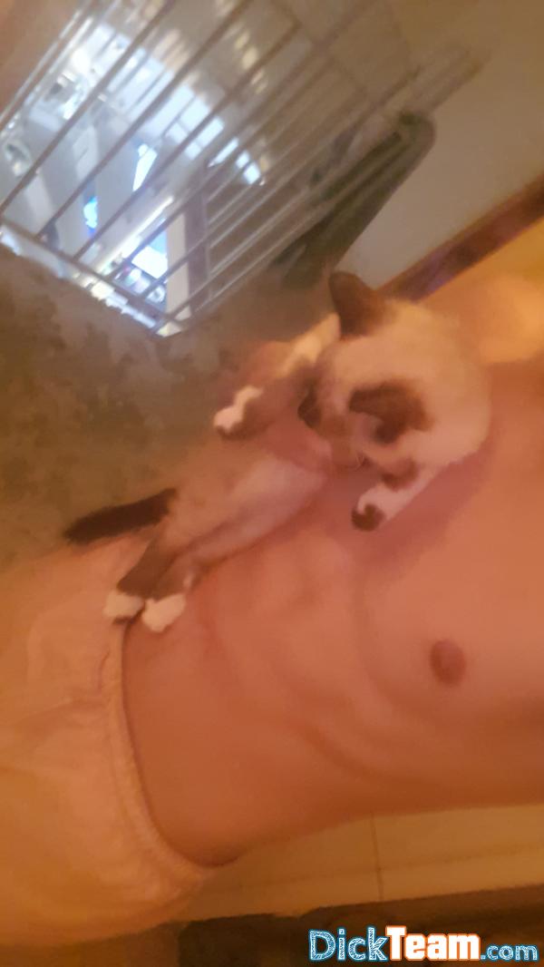 trty6salee- - Homme - Hétéro - 19 ans : Venez vous amusez je vous attend 
